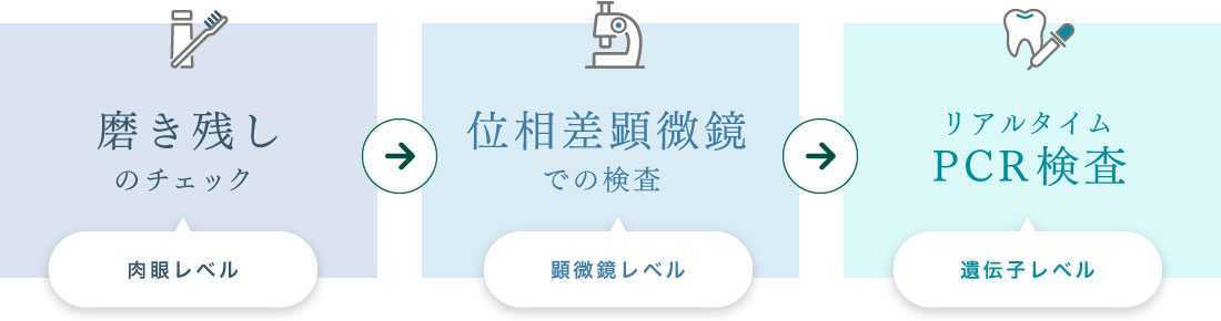 磨き残しのチェック 位相差顕微鏡での検査 リアルタイムPCR検査