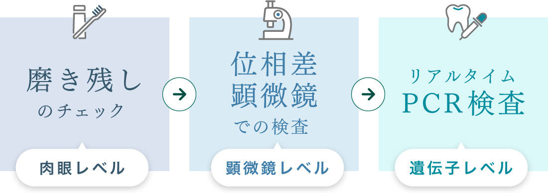 磨き残しのチェック 位相差顕微鏡での検査 リアルタイムPCR検査