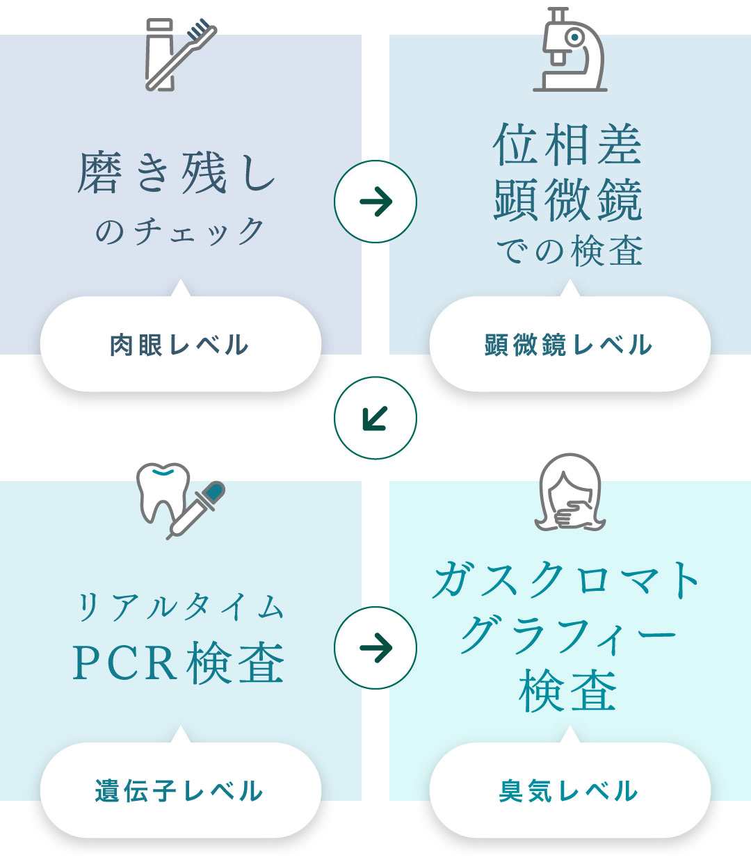 磨き残しのチェック 位相差顕微鏡での検査 リアルタイムPCR検査 ガスクロマトグラフィー