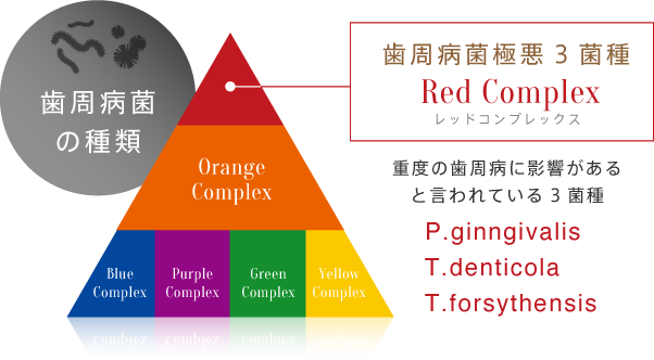 歯周病菌極悪3菌種 レッドコンプレックス