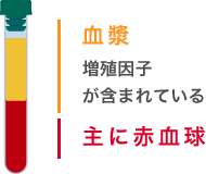 血漿：増殖因子が含まれている／主に赤血球